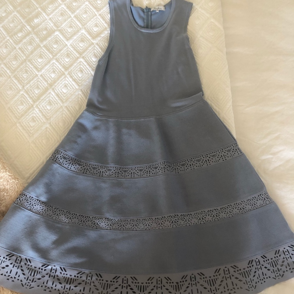 Parker Dress- wore once!